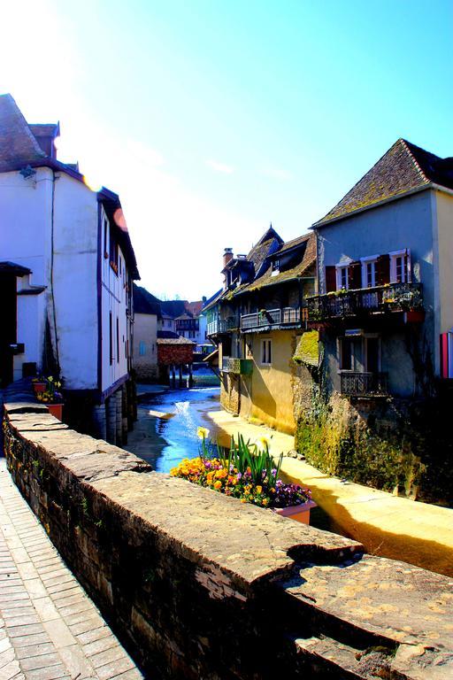 Les Pavillons Du Rooy Leilighet Salies-de-Béarn Eksteriør bilde
